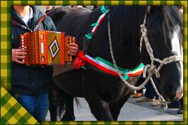 Manifestazioni e folclore